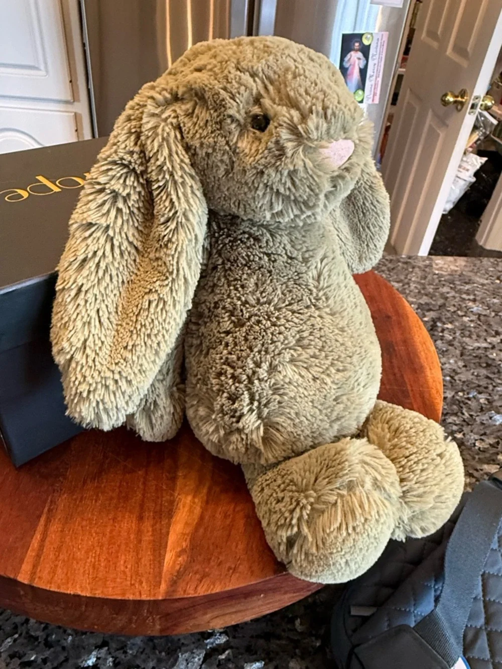 Medium Bashful Fern Bunny Jellycat - Retired & Authentic Design - Picture 2 of 11